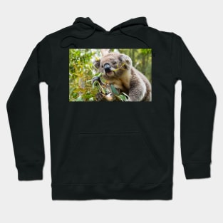 Koala eating gum leaves. Hoodie